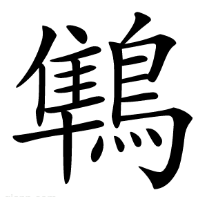 鶽